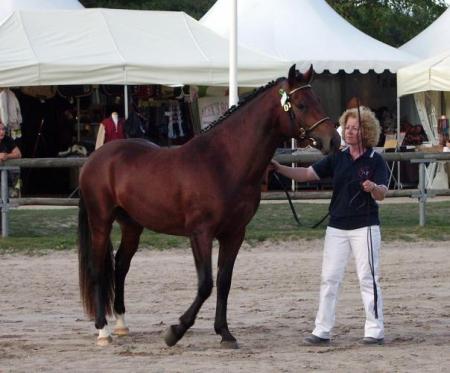 sylharo du liémont