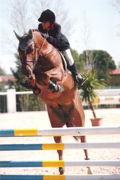 le beau niki