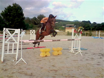 le beau quito