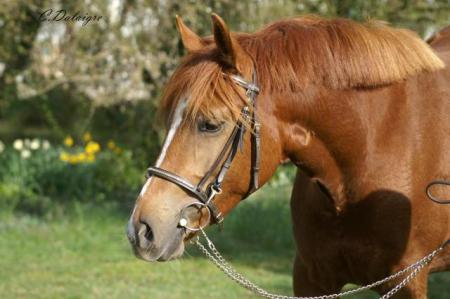 une jolie 2 ans
