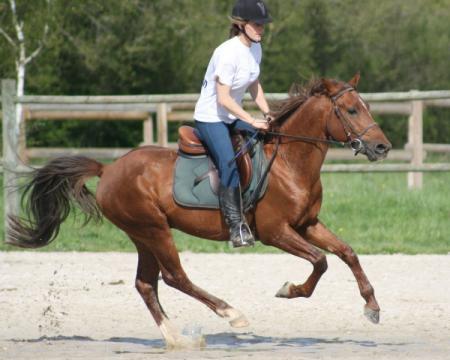 quiky du brivet